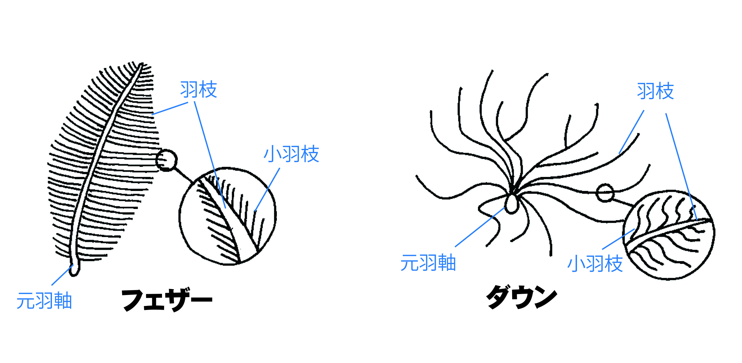 ハイベック コート 失敗